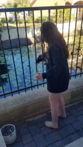 Destin Florida Vacations feeding fish in the canal